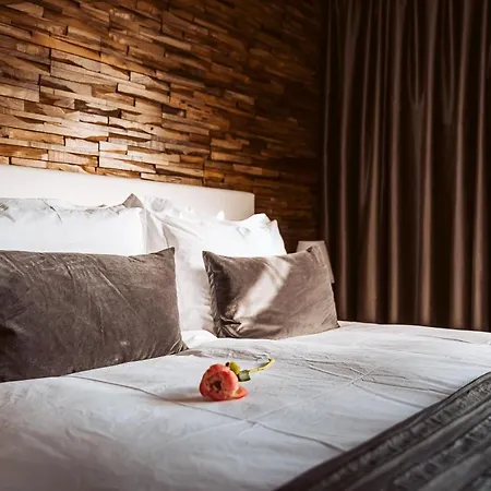 住宿加早餐酒店 B&B Bleiswijk 3*