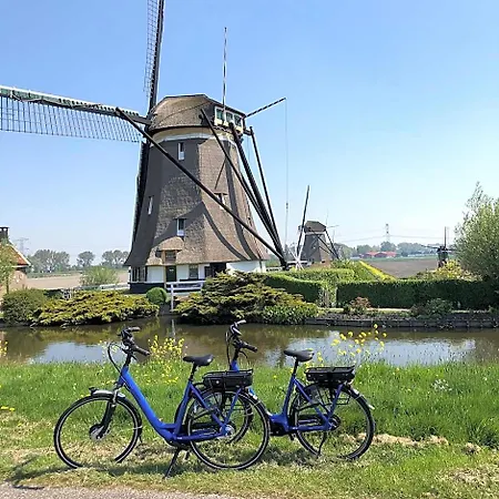 B&B Bleiswijk B&B