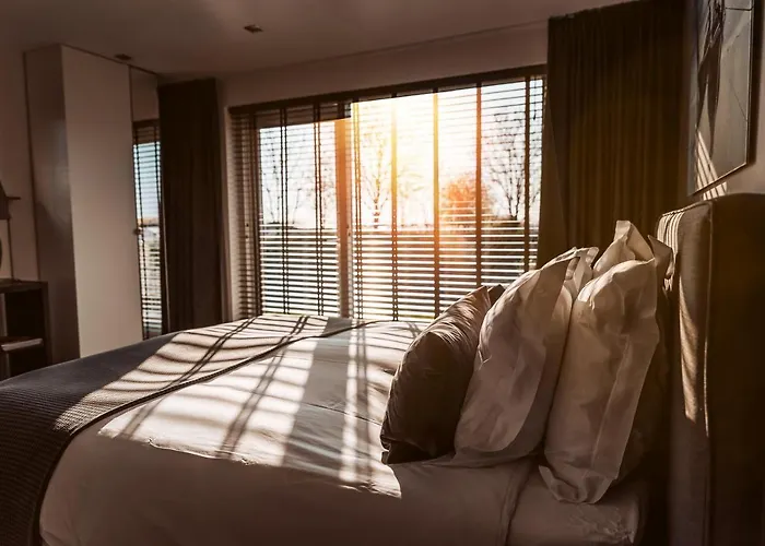 Couette-café B&B Bleiswijk